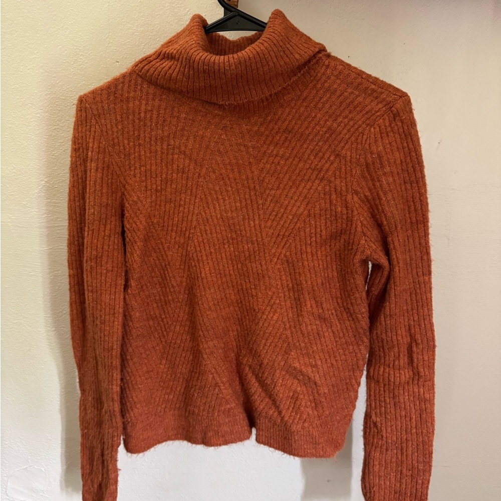 Cozy Rust Sweater